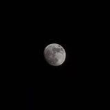 Moon✨️