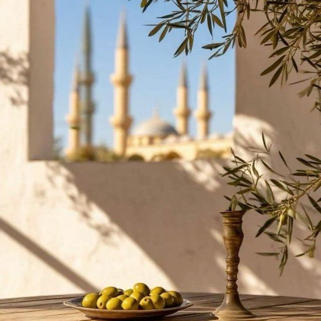 🕊️ ارحے قـلبـے 🫀