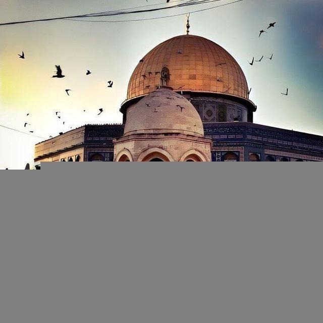 دينُنا الإسلام🎀🩷