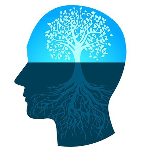 Mindset Vincente