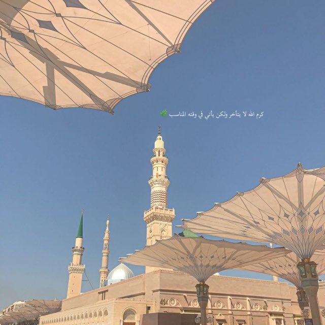 ݺ،شَهِـدمُـحمّد