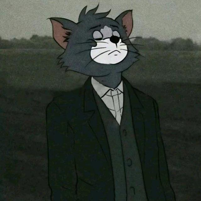 مشاريع لايت + شبه ستار 💆🏿🔥🔥