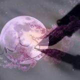 🇲🇽 Poeta de Luna