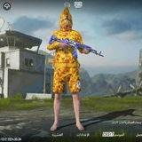 Files-PUBG