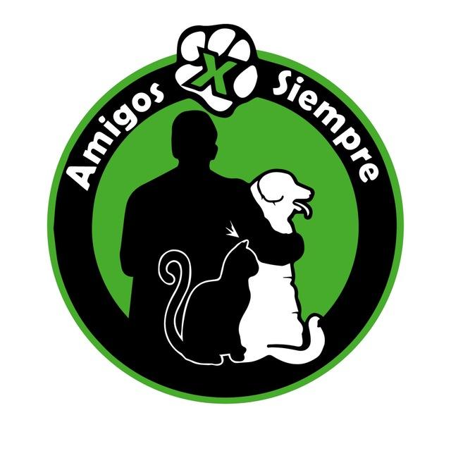 Corporacion Amigos Por Siempre 🐶🐱