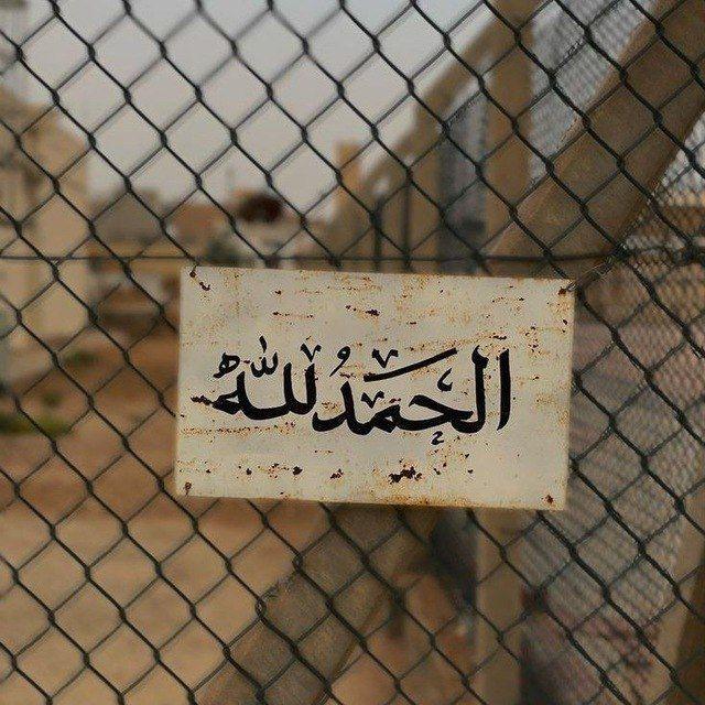 ❥وُرٍدِة نوُرٍهـآن❥ (◡‿◡✿)