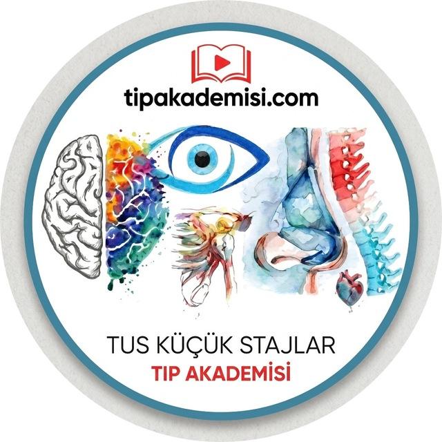 TIPakademisi Küçük Stajlar