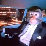 Grizzlies Crypto trade calls