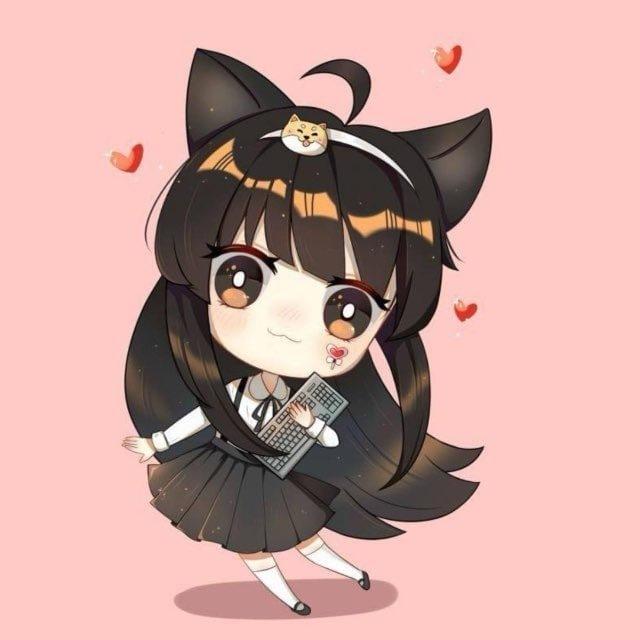 仙仙✨双向机器人