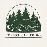 Кинолог, фелинолог @forest.sheepdogs