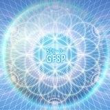 5D ヒーラー ✨ GFSP