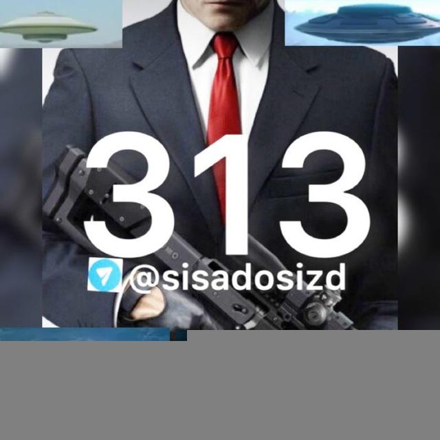 313