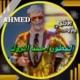 المطور احمد الروك V2