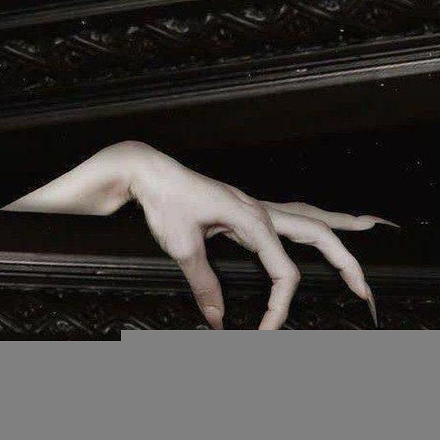 𝔑𝔬𝔠𝔱𝔦𝔳.
