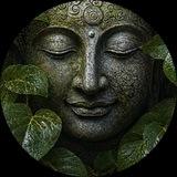 Cyber Arts 💚 Нейросети, нейроарты, картинки, иллюстрации, промты