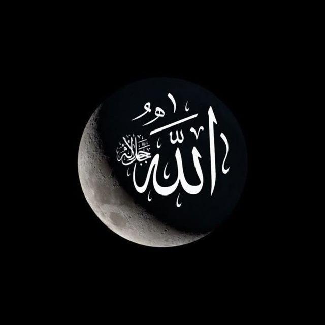 نور قلبي