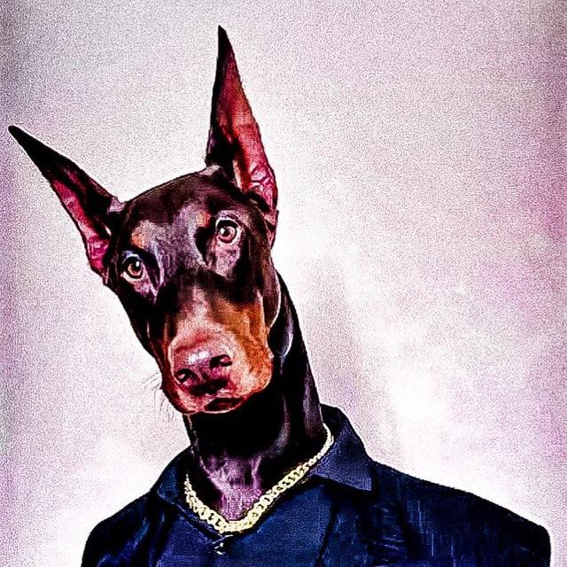 Woofy the dog