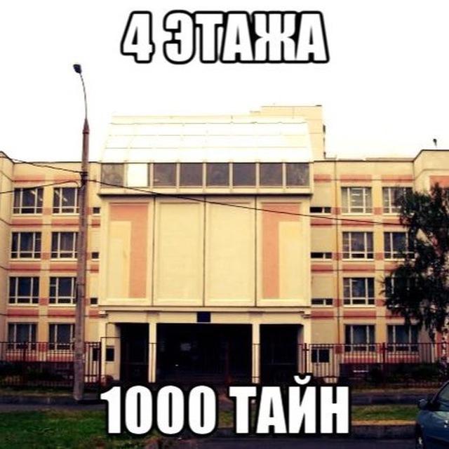 в 1955 любят