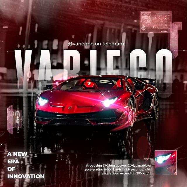 ✇ VARIEGO'S .. ⍀ SYSTEM.