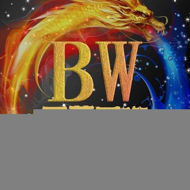 BW-国际海外支付