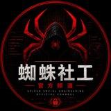 蜘蛛付费查询模板频道