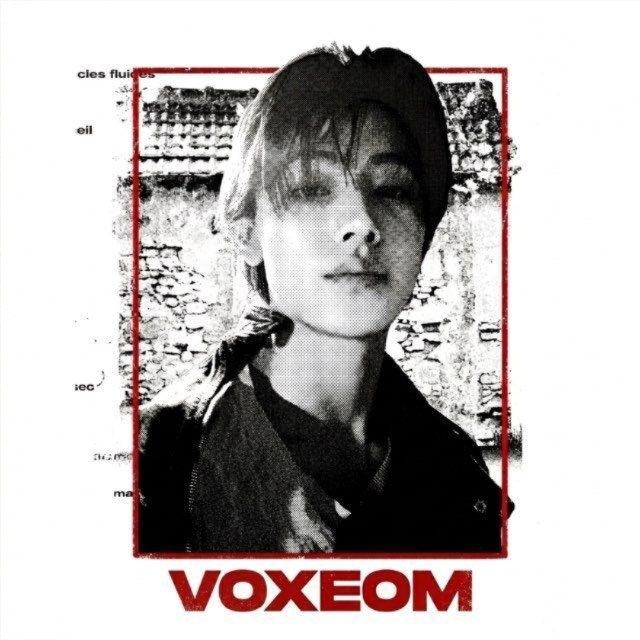 VOXEOM.