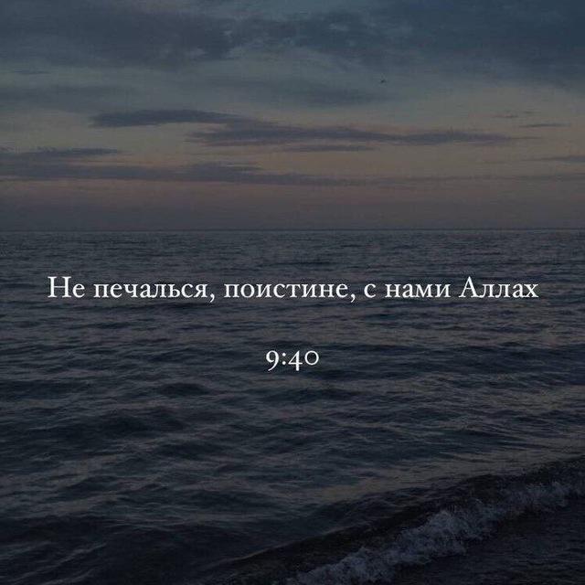 z.albch 🤍