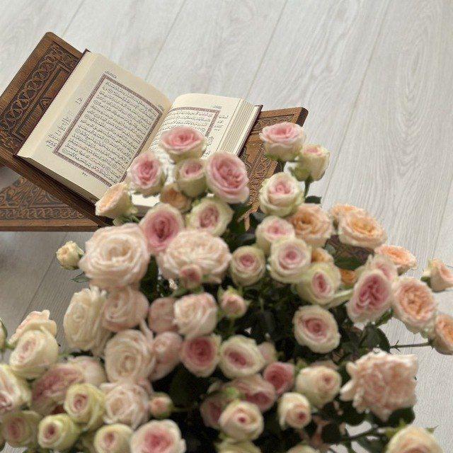 دعاء ٬ اذكار ٬ ادعيه ٬ قران ،🌼
