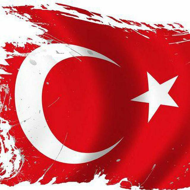 Yüzbaşı Pdf