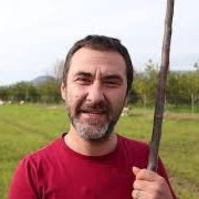 Economist Coban