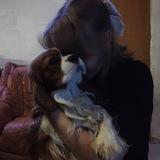 ✧･ﾟво власти искусства⋆｡˚ ⋆