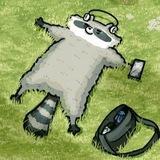 🦝 Еноты захватывают мир 🦝
