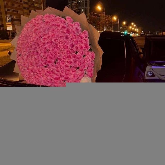 night drive