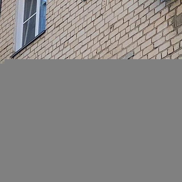 Челябинские кошки и советские окошки