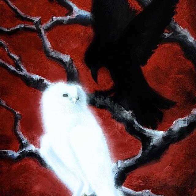 ٩:١٤