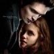 Twilight saga Collection