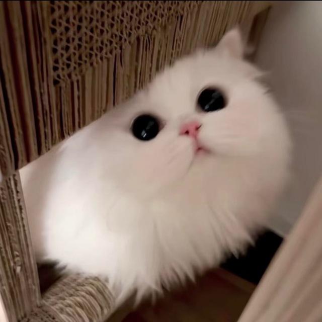 沐晴晴了✨