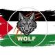 WOLF CHARTS ™ 🐺