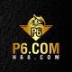P6-VIP**