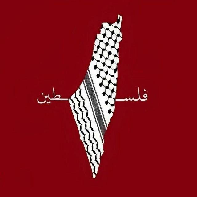 اشعار عربية فصحى | شعر عربي فصيح | اقتباسات ، ابيات .