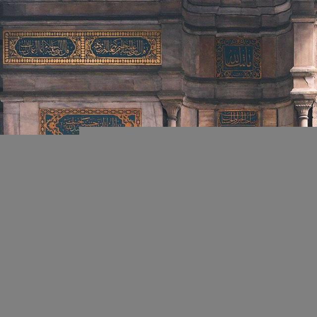 نُّورٌ عَلَىٰ نُور🌱