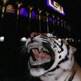 ☤𝐀𝐋𝐈 𝐊𝐀𝐆𝐎☤