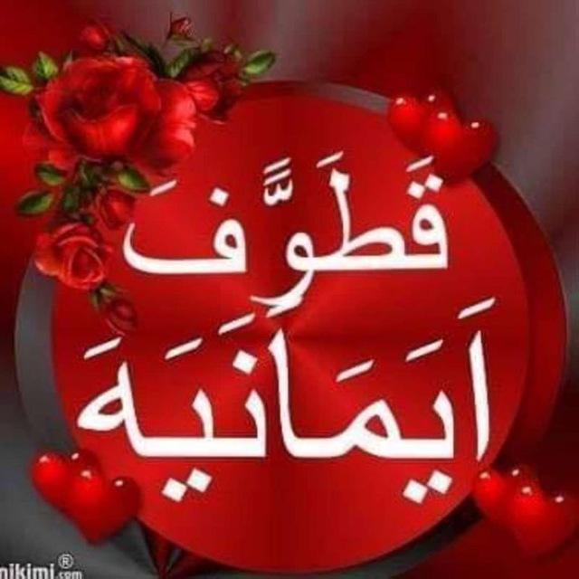 قطوف إيمانية