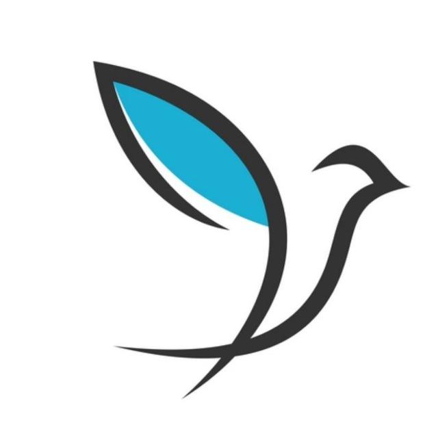 [ فری🕊️ ]