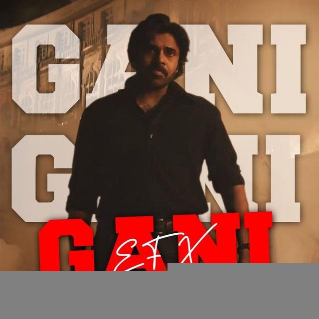 GANI EFX