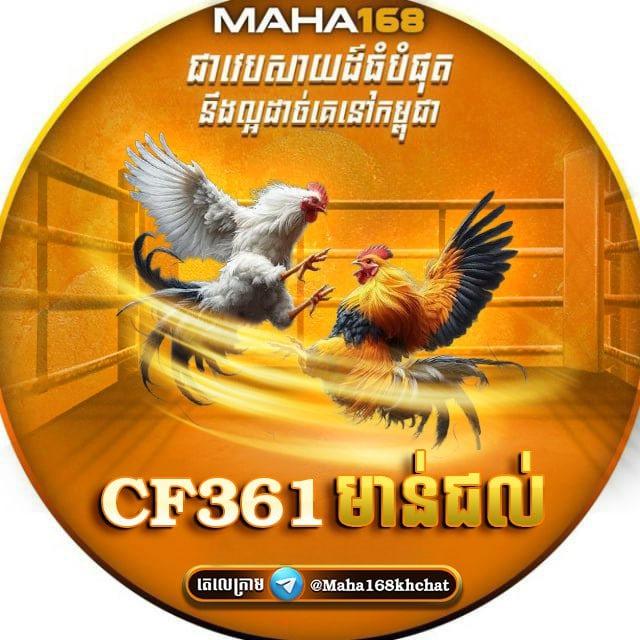រកលុយតាមវេបសាយ🎫🥇
