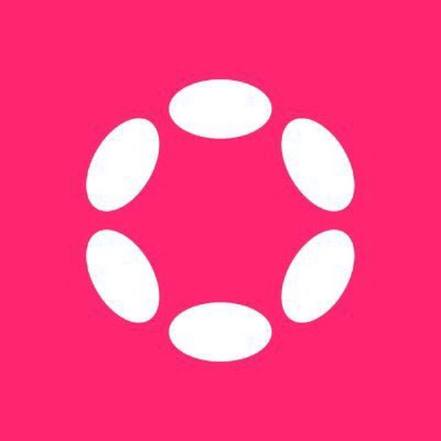 Polkadot official support