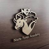 NATE FOREX TRADING ACADEMY