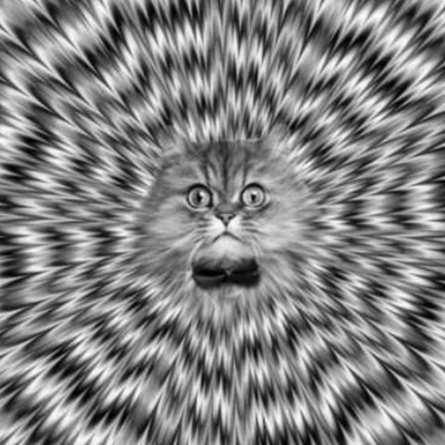 Illusion of deception