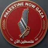 فلسطين الان🔻